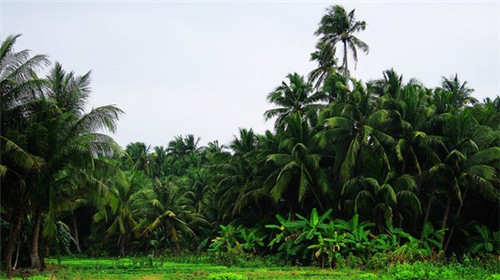 餐饮设计小细节图怎么画的，餐饮设计小细节图怎么画