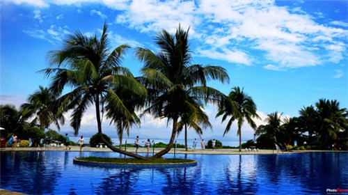 自媒体创业做什么，自媒体创业开什么店好一点