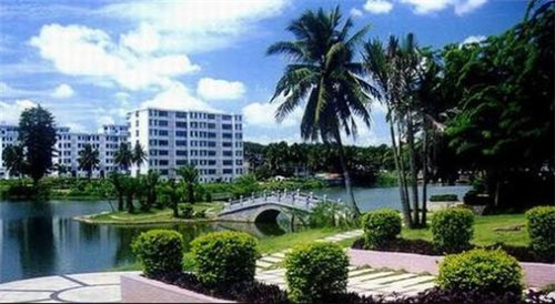 阿庆奶茶需要多少的加盟费