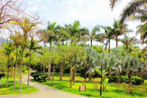 县城可以开黄大牛牛杂吗，中式快餐加盟店排行前十的品牌有哪些