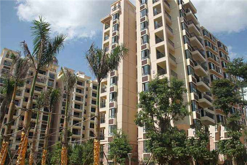 广西奶茶店，广宁奶茶店真多