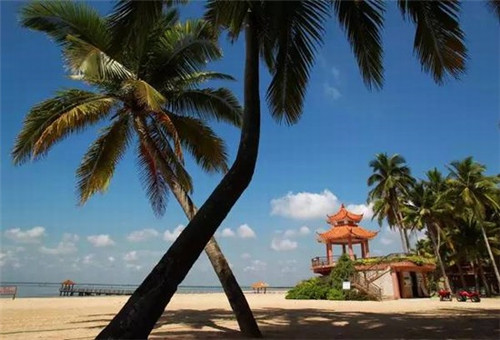 衢州市怎么加盟奶茶店，在衢州市加盟85°C饮品有什么优势