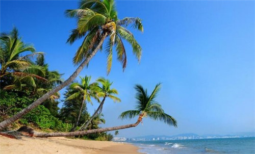 跆拳道需要加盟费吗多少钱