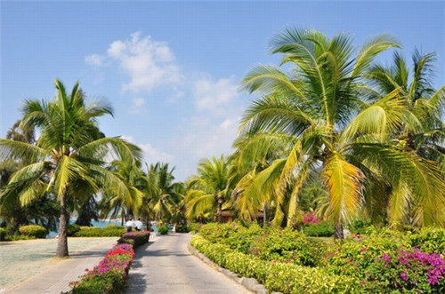 背景墙品牌加盟费用多少钱