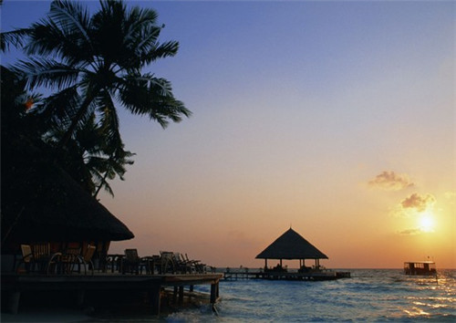 我的生活放荡是什么歌（我的生活放荡像只狗是哪首歌）