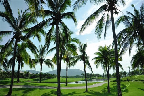 快手直播如何录制歌曲（如何在快手直播间放歌）