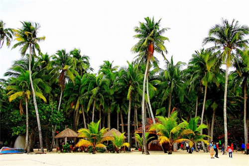 女生创业烘培店怎么样好做吗